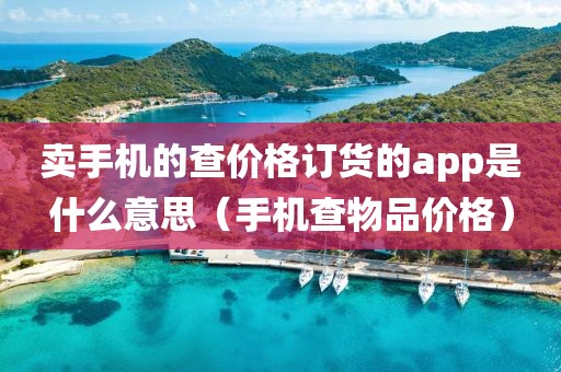 卖手机的查价格订货的app是什么意思（手机查物品价格）